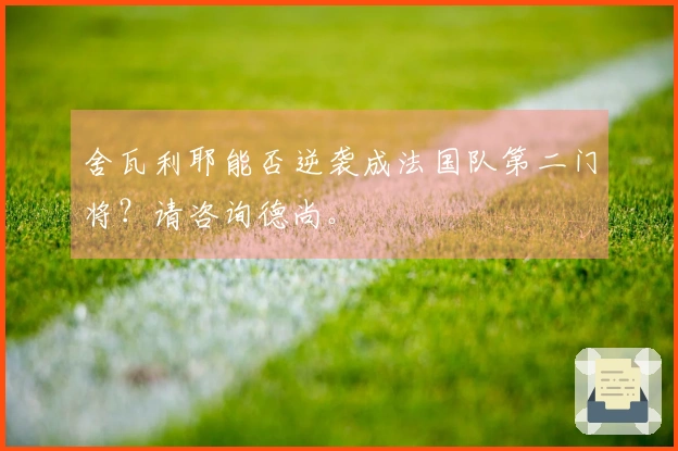 舍瓦利耶能否逆袭成法国队第二门将？请咨询德尚。